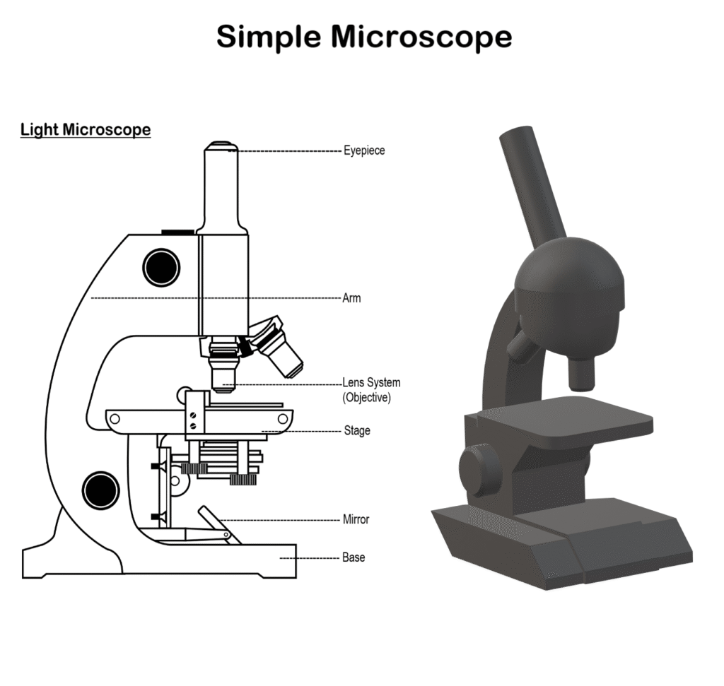 Simple Microscope Without Label Simple Microscope - Definition, Structure and Applications