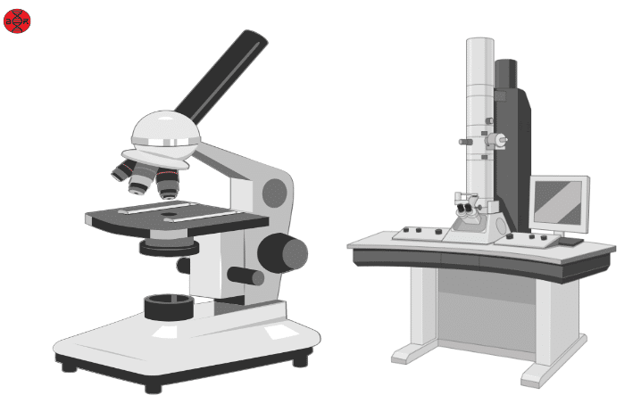 Light-Microscope-Vs-Electron-Microscope