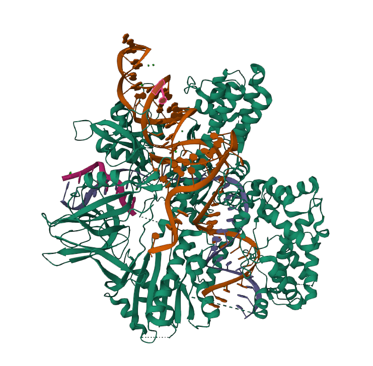 CRISPR yw5wzv