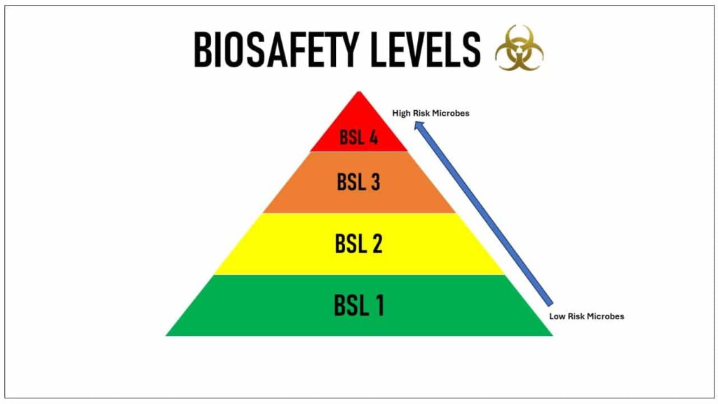 Biosafety Levels: BSL-1, BSL-2, BSL-3, BSL-4 Laboratories