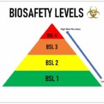 Biosafety Levels - BSL 1, BSL 2, BSL 3, BSL 4 Laboratory