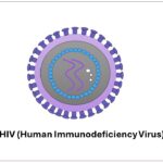 HIV – Human Immunodeficiency Virus | Details and Diagnosis