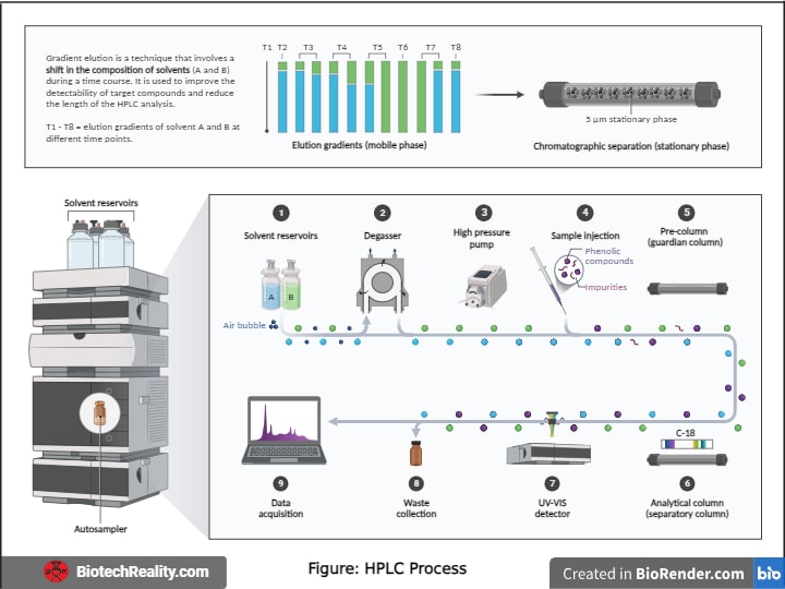 HPLC Process HPLC Process
