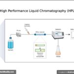 High-Performance-Liquid-Chromatography-HPLC