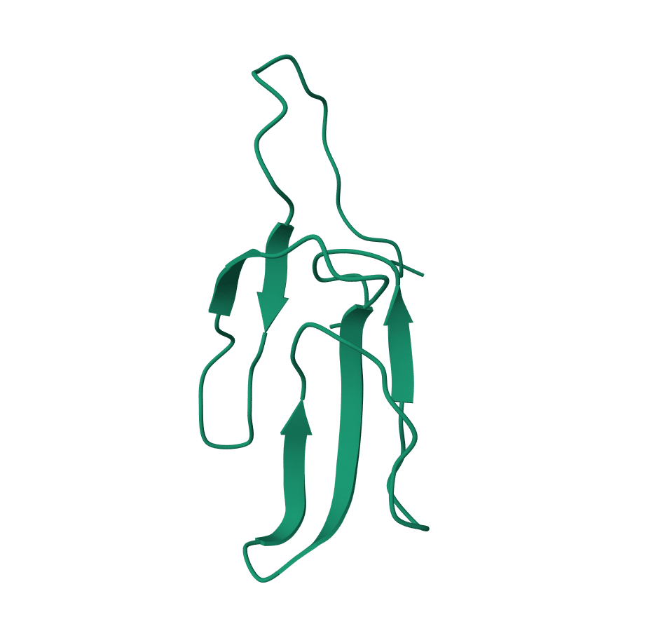 The Three-Dimensional Structure of the Neurotoxin SCNTX. Structure Source: PDB