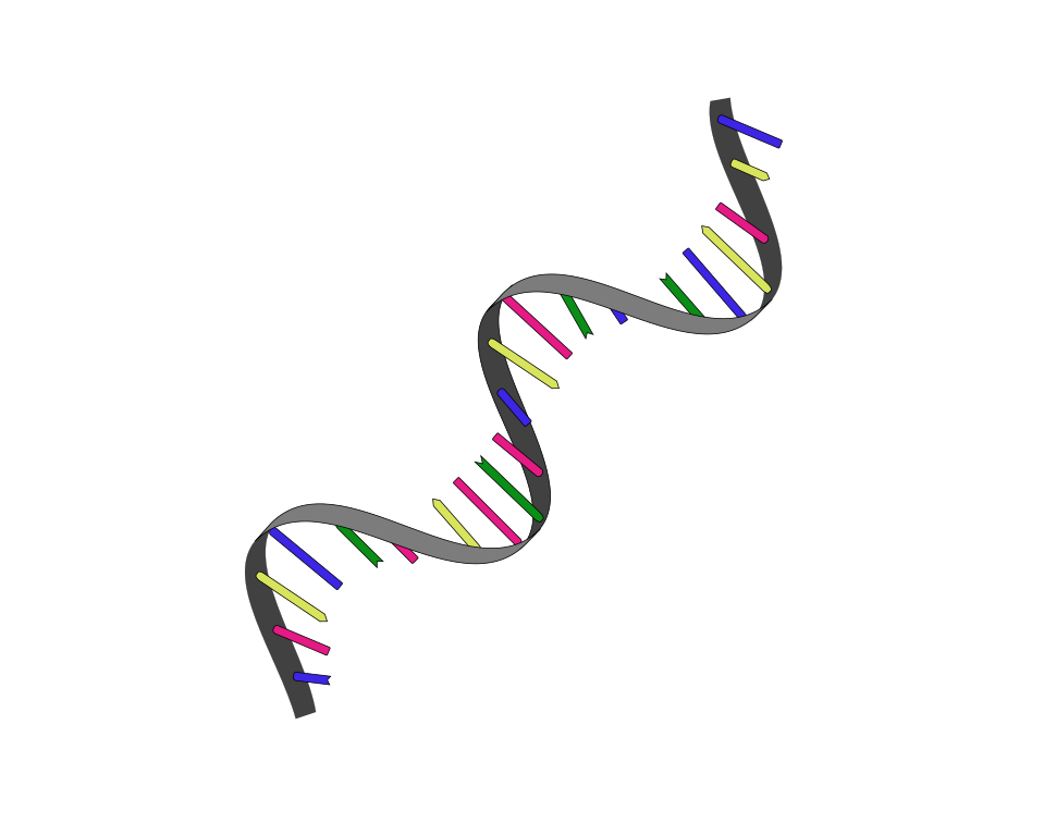 RNA structure