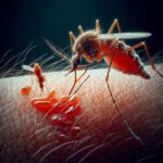 plasmodium malaria parasite