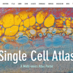 Single Cell Atlas