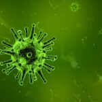 epstein barr virus