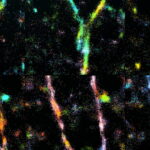 amyloid beta protein structure