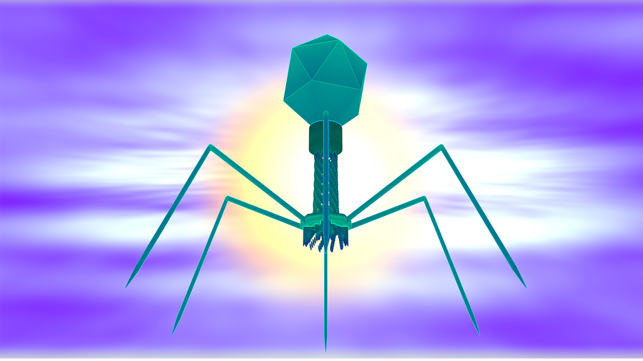 phage biofilm