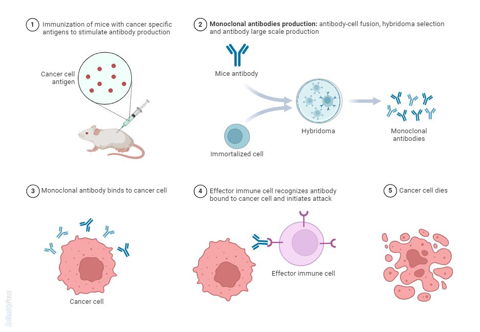 monoclonal antibodies