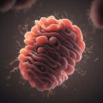 mitochondria cells