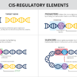 Featured image of AI designed DNA switches