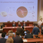 nobel prize in physiology or medicine 2024