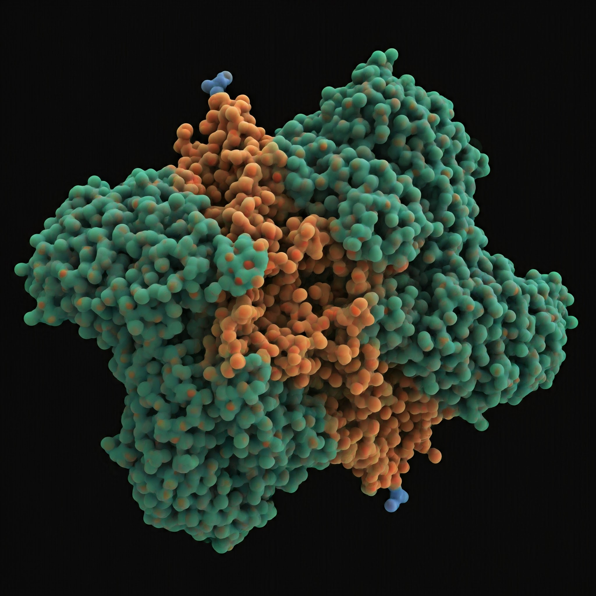 antibody structure representation