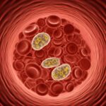 drug resistance in malaria representation