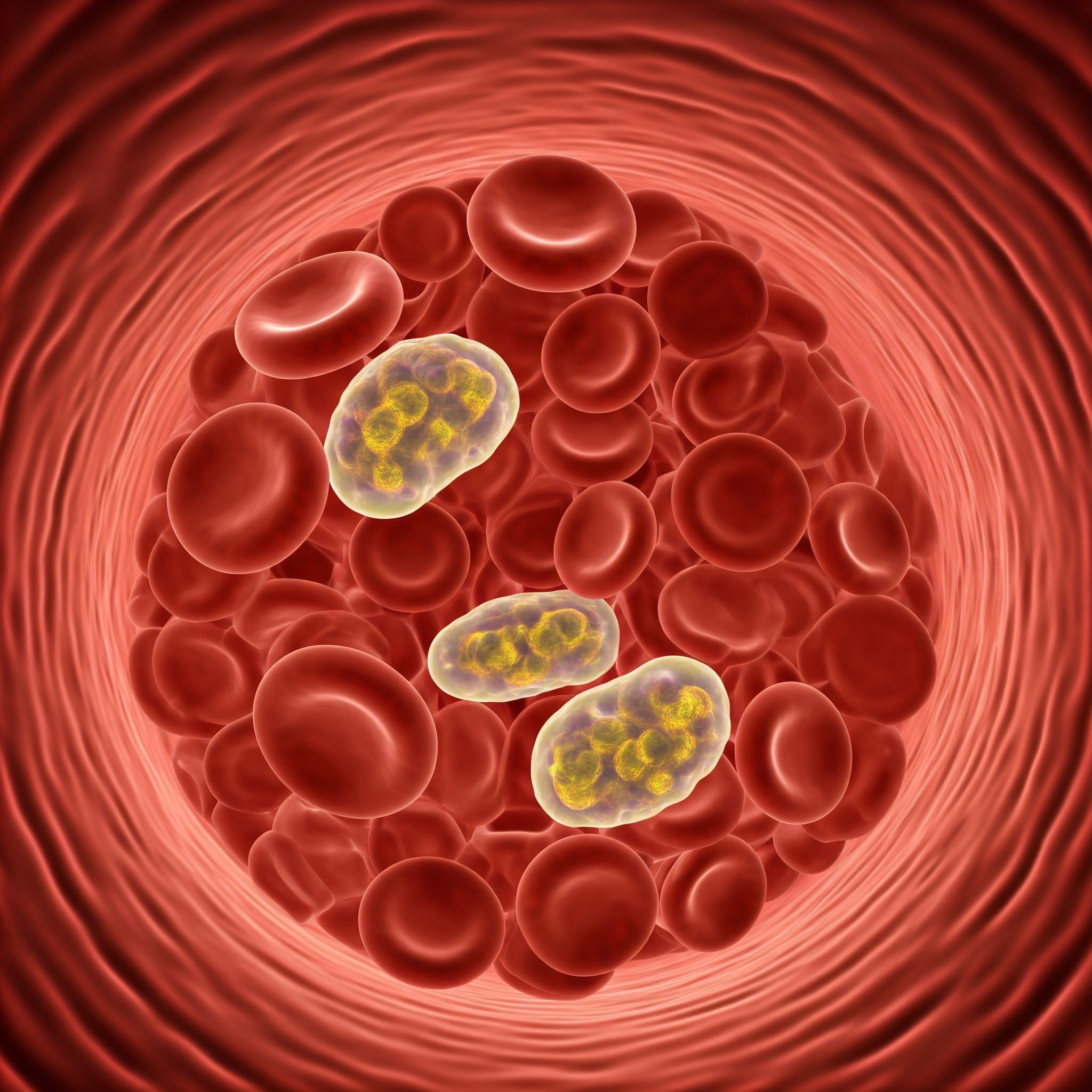 drug resistance in malaria representation