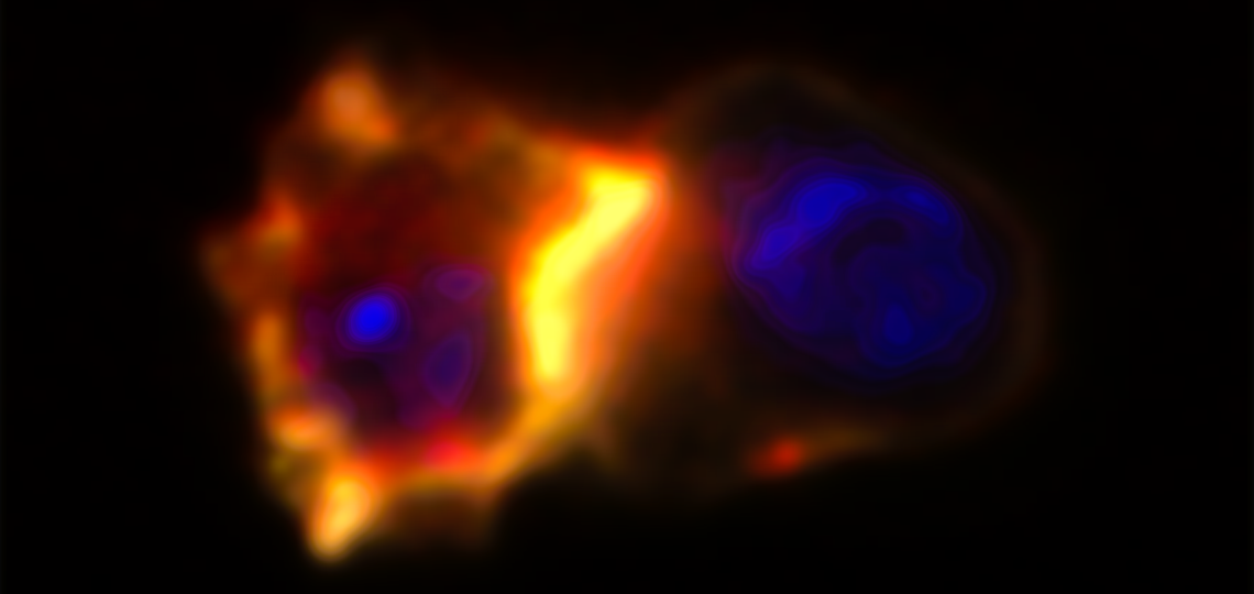 20250106 lipid raft in immune synapse
