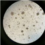 vaccine development reserach