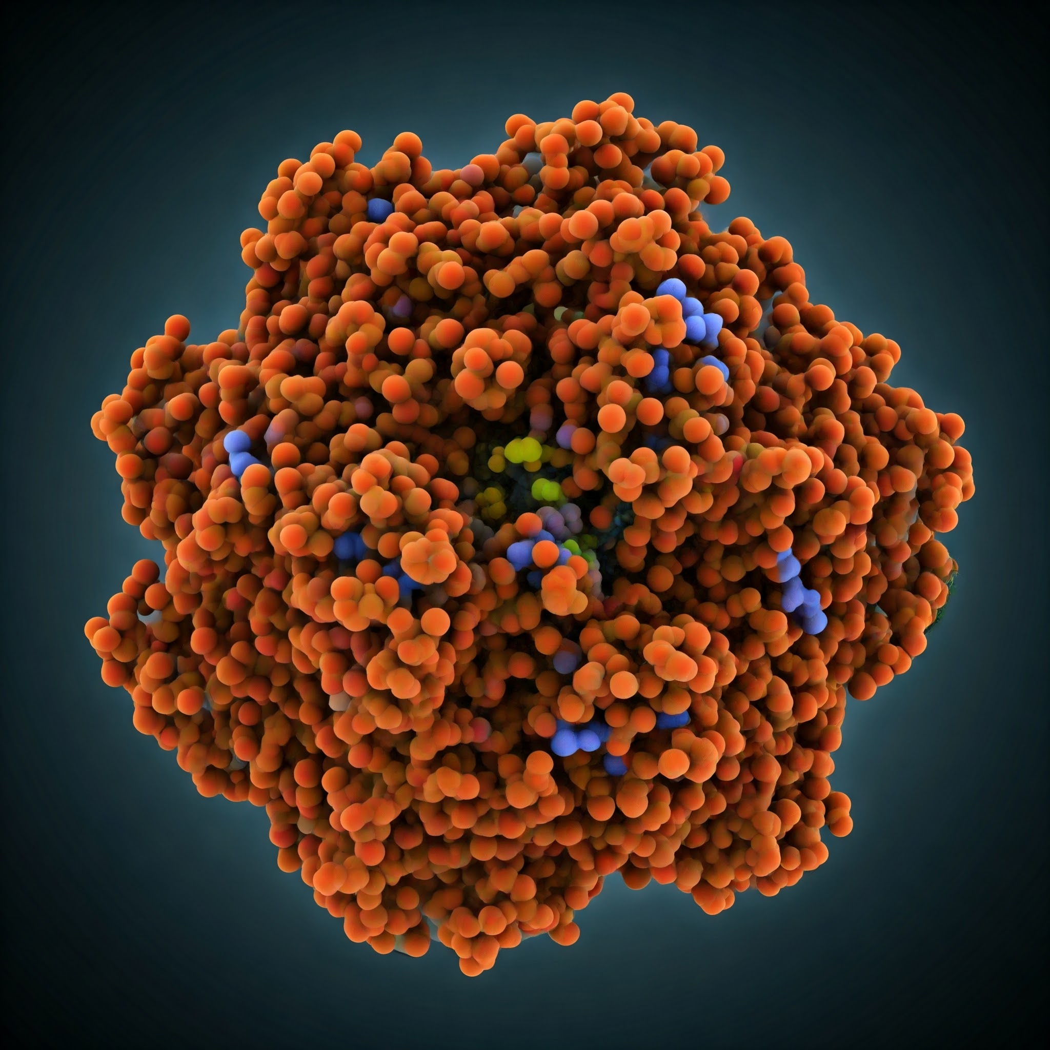 ribozyme structure representation