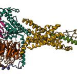 semaglutide structure