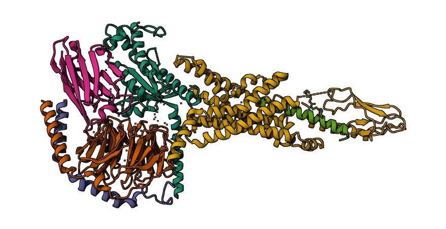 semaglutide structure