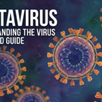 How Hantavirus Spreads